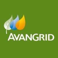 Avangrid logo: three colored tear-drop-shaped leaves (white, blue, gold) on green background, with white 