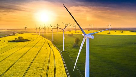 Wind turbines stand in a field of bright yellow flowers under a glowing sunset sky.