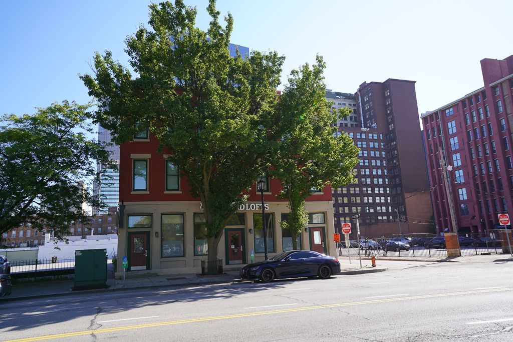 Sunlit city street with a red-brick building, tall tree, and parked cars рядом