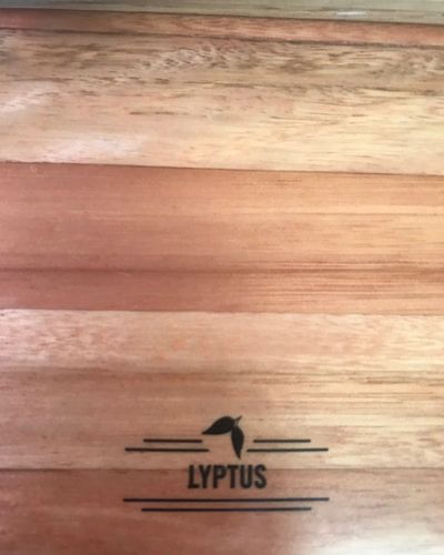 Wooden tabletop with a black LYPTUS logo centered near the bottom
