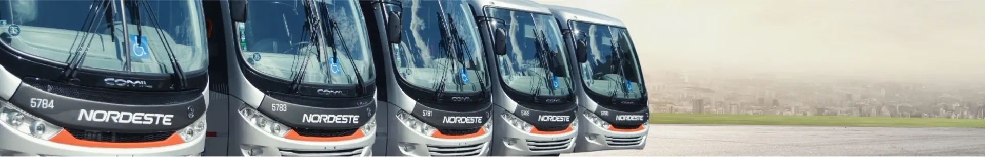 Uma fileira de ônibus estão estacionados um ao lado do outro em uma estacionamento