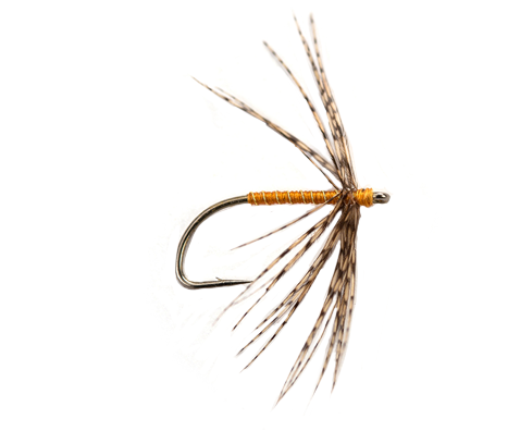 Partridge & Orange Wet Fly
