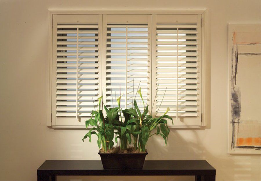 cream shutters over table and plant