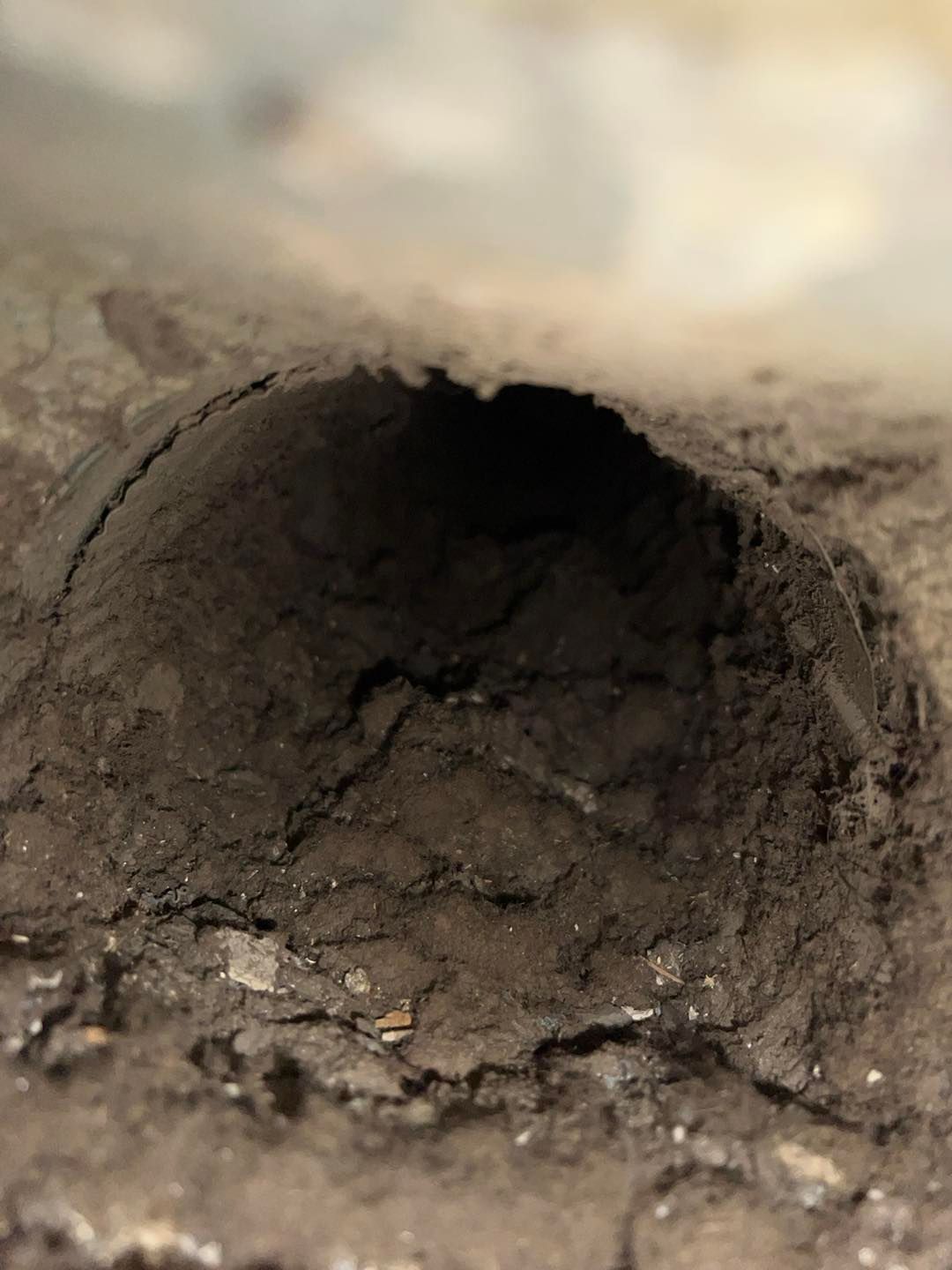 Close-up of a dark dirt tunnel opening in a soil wall, with rough earth around it