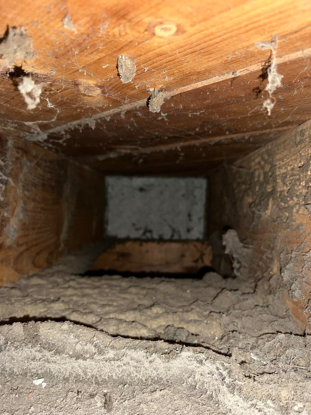 Dusty inside of a rectangular wooden duct or vent, with debris and a gray back wall