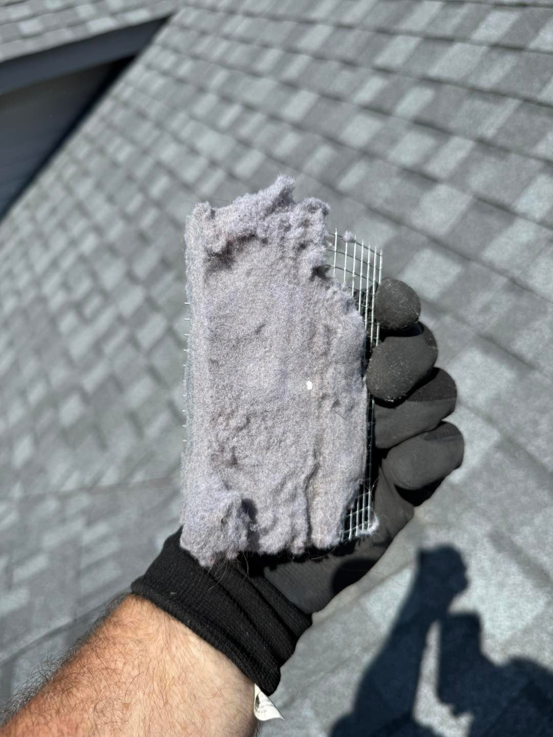 Gloved hand holding a gray, shredded cloth scrap against a shingled roof background