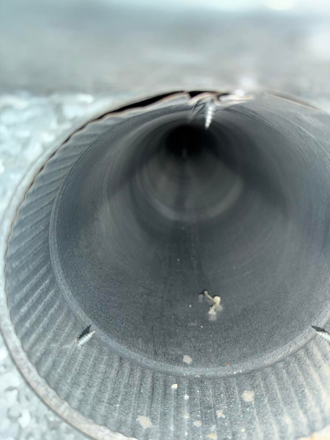 Close-up of a gray corrugated pipe interior with small debris visible on the surface.