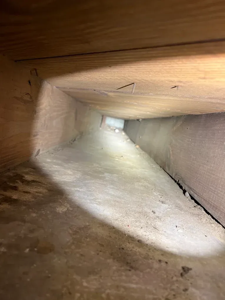 Inside a dusty wooden crawlspace with a sloped white floor leading toward a small opening