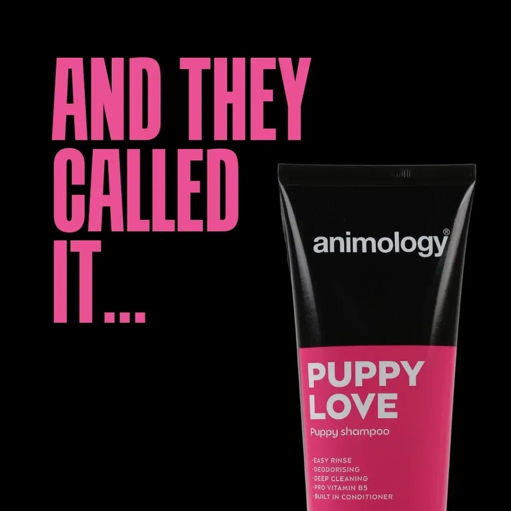 Zwarte Animology
