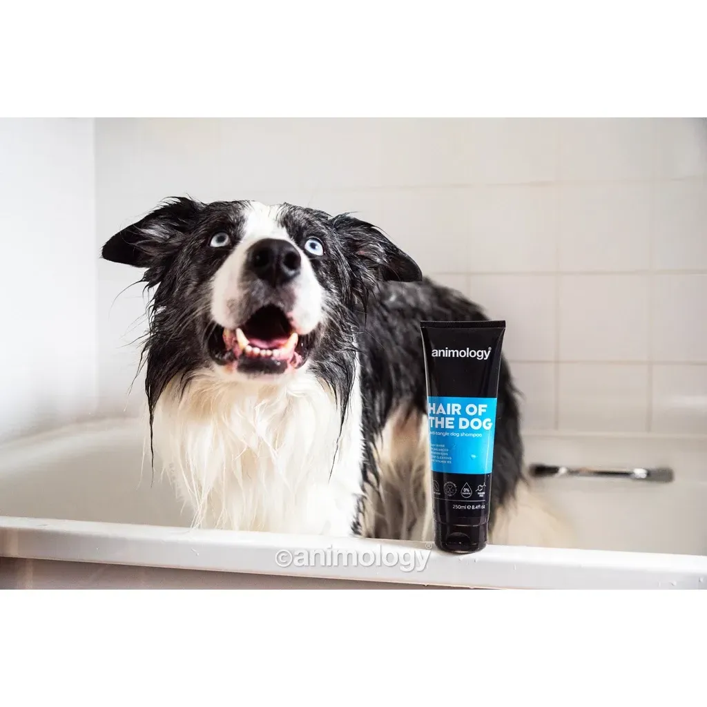 Animology Hair of the Dog hondenshampoo anti klit