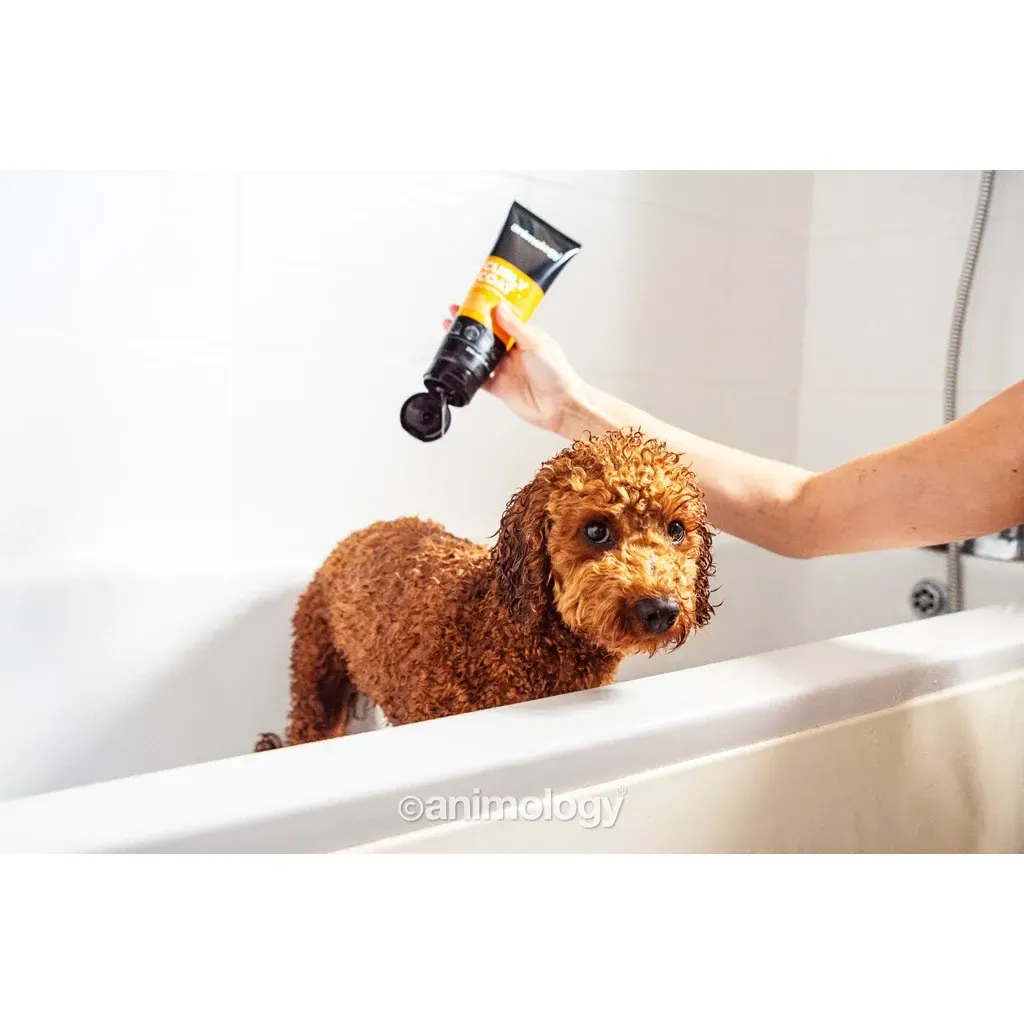 Animology Curly Coat hondenshampoo in een tube, krul vacht