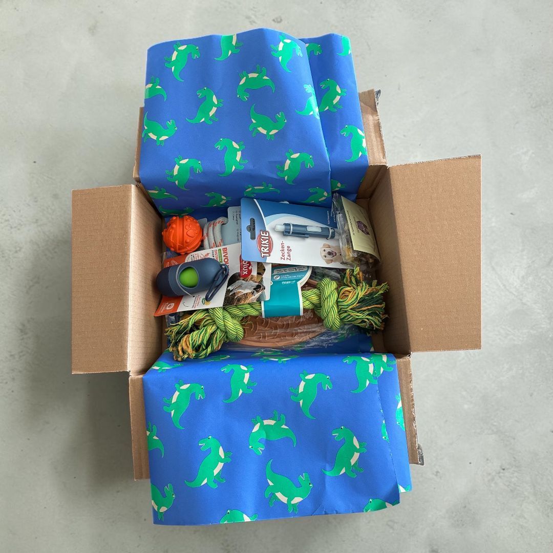 voorjaarsbox hond