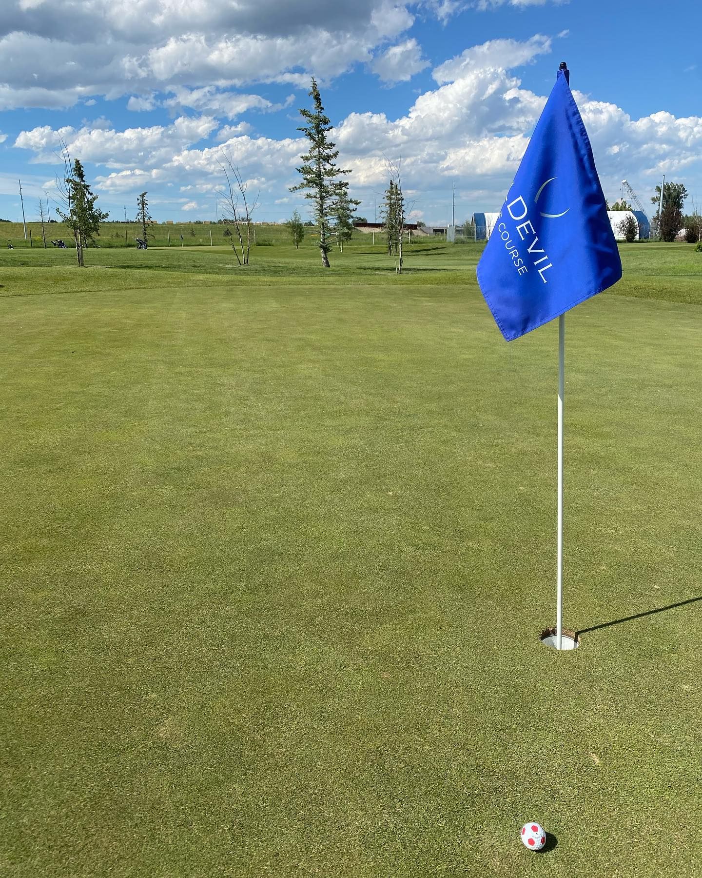 Golf ball near a hole with a blue flag on a green golf course under a cloudy sky.