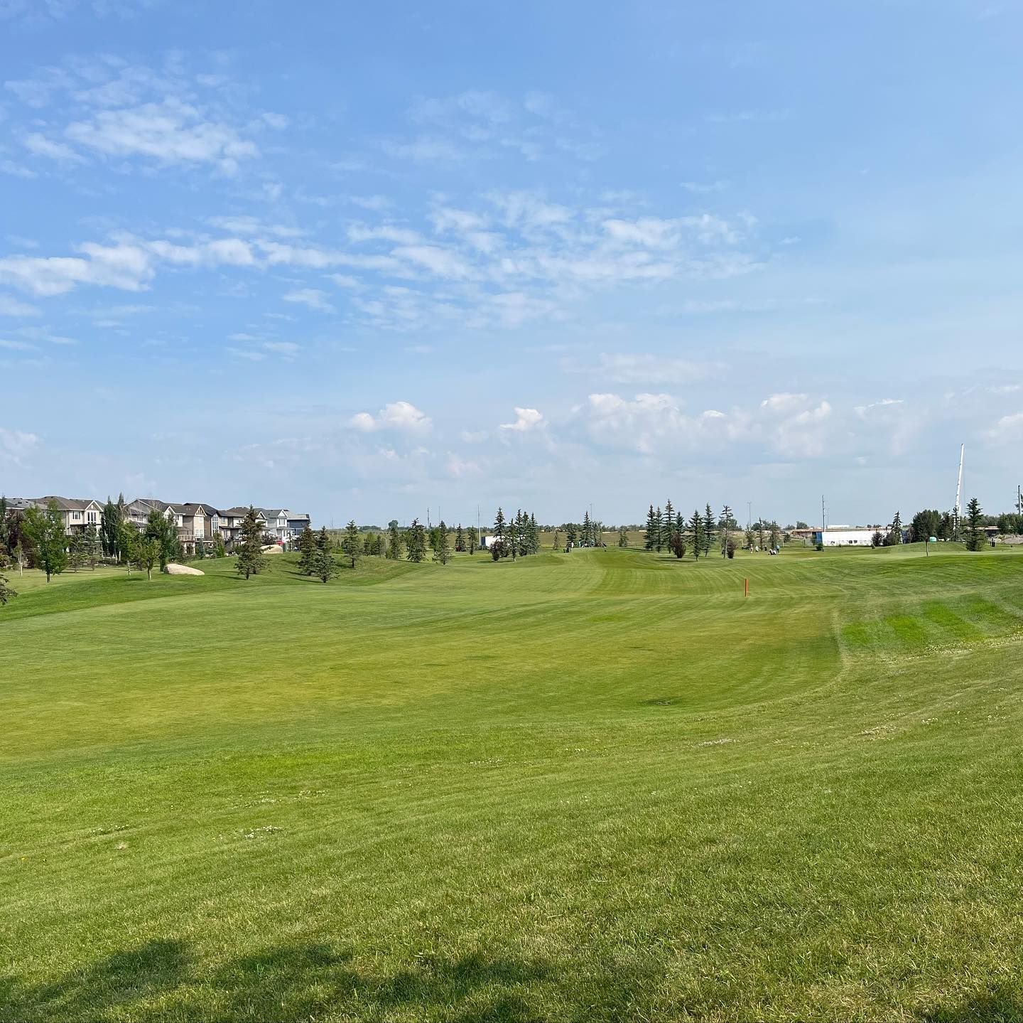 Green golf course under a blue sky, trees in the distance, buildings along the horizon.