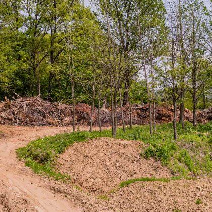 clearing forest for construction new road