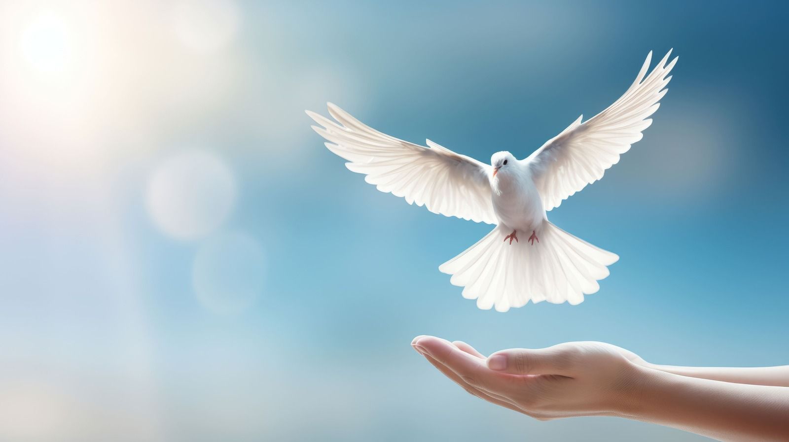 A white dove flying upward from a pair of cupped hands against a soft, sunlit blue sky.
