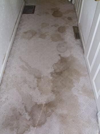 Concrete floor with water stains between white walls, two ventilation grates visible.