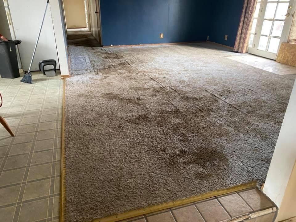 Beige carpet stained with dark spots in a room with blue walls and tile floors.