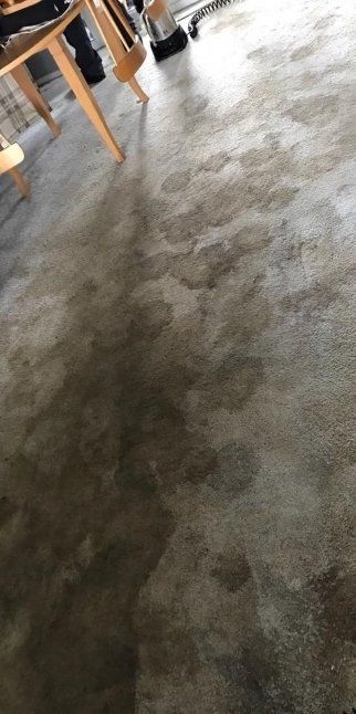 A beige carpet stained with multiple dark areas, some resembling footprints. Wooden furniture legs are in the background.