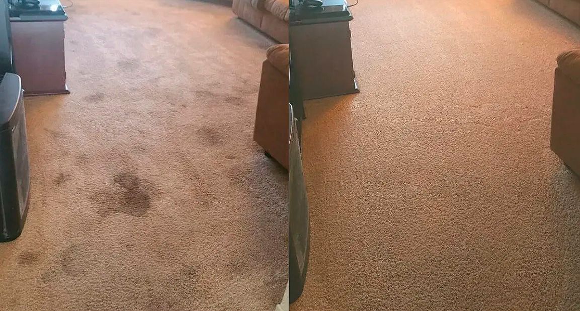A carpet with stains is cleaned, showing the before and after with the clean portion on the right.