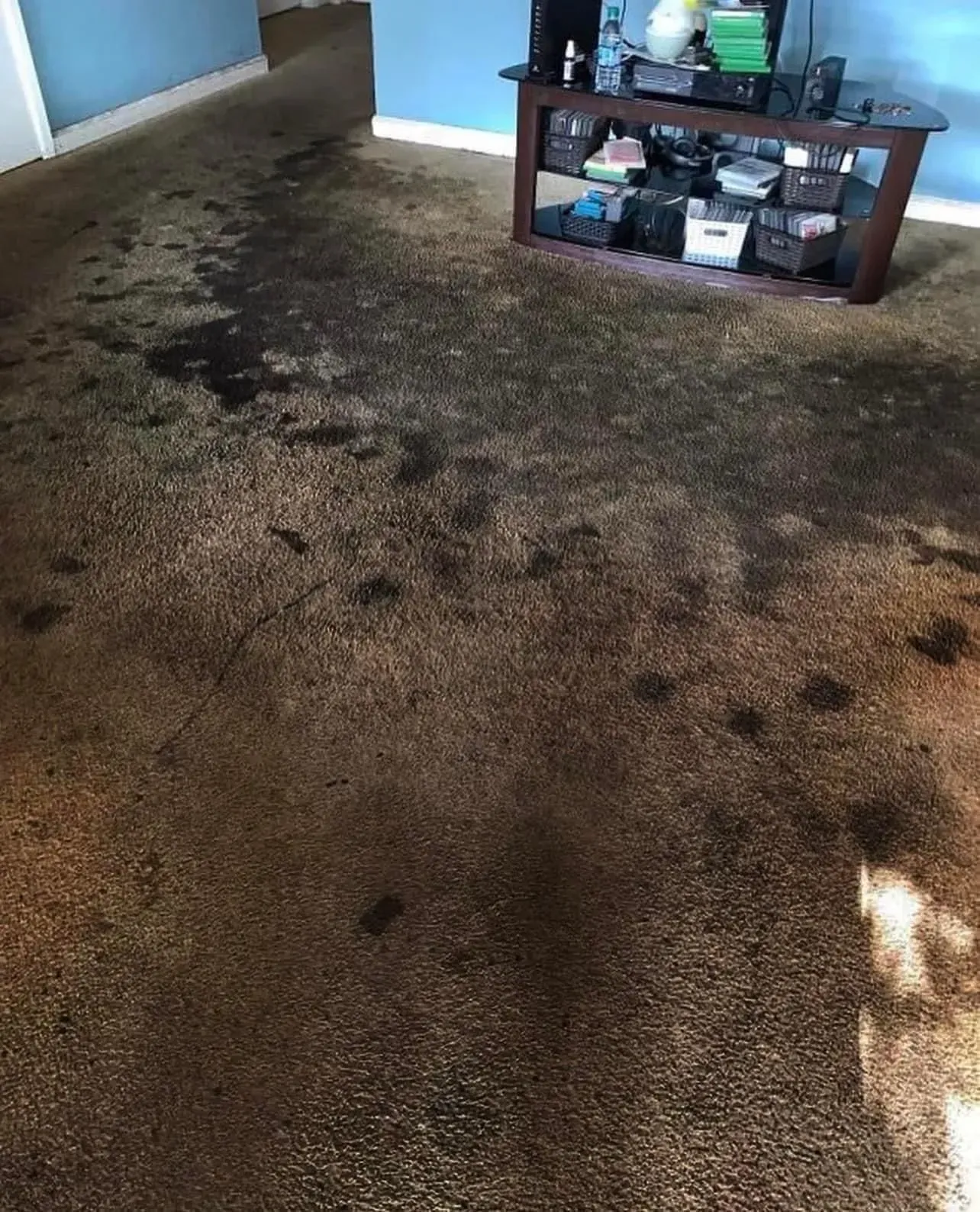 Dark-stained carpet in a room with a TV stand; likely water damage or a spill.