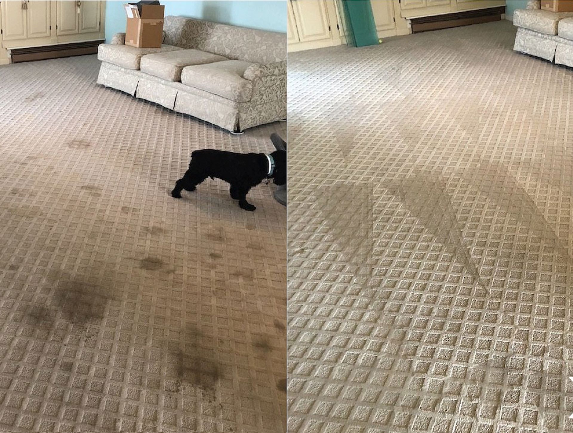 The