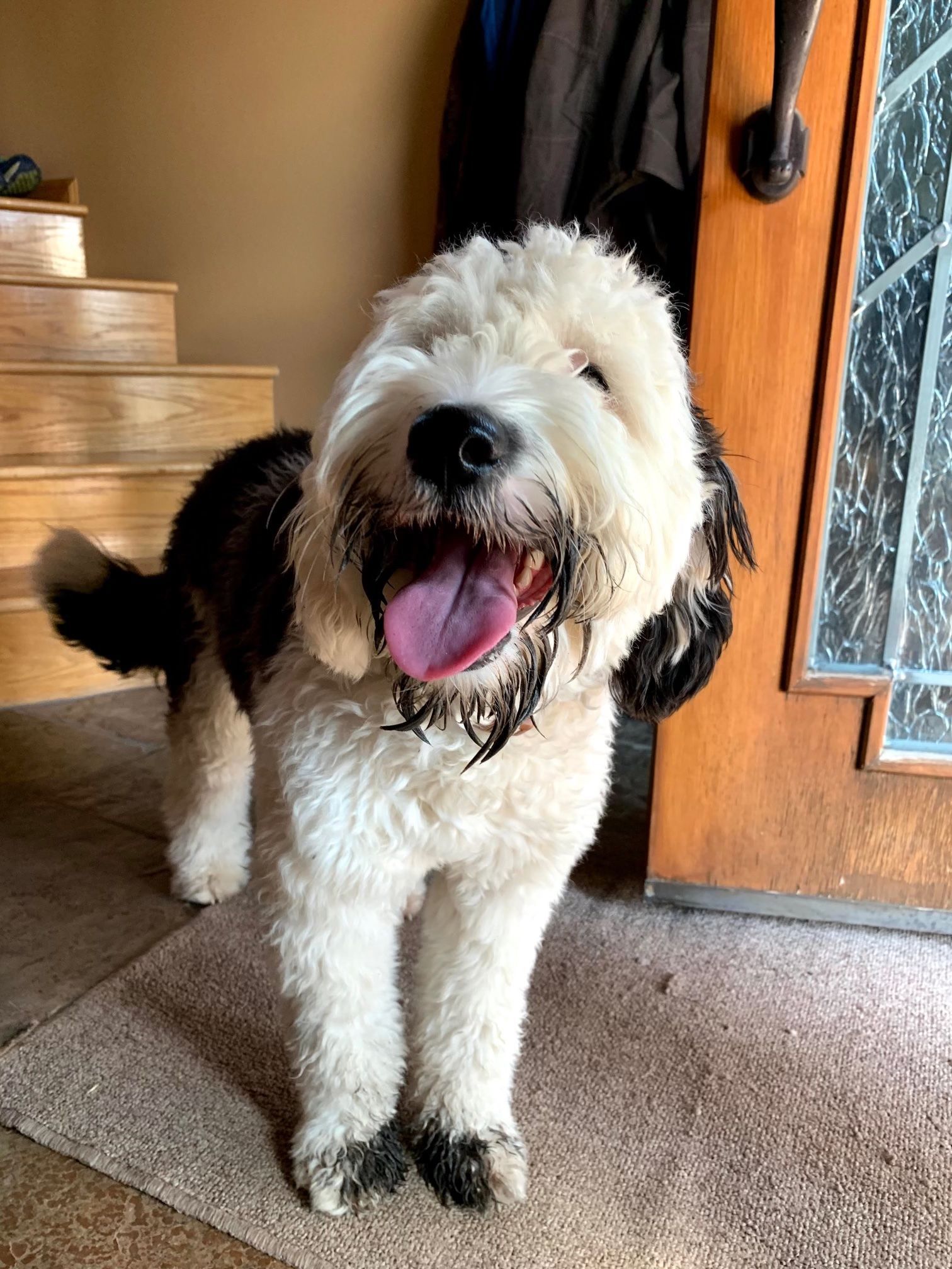Say Hello to Annie | Roux LLC Franklin, TN
