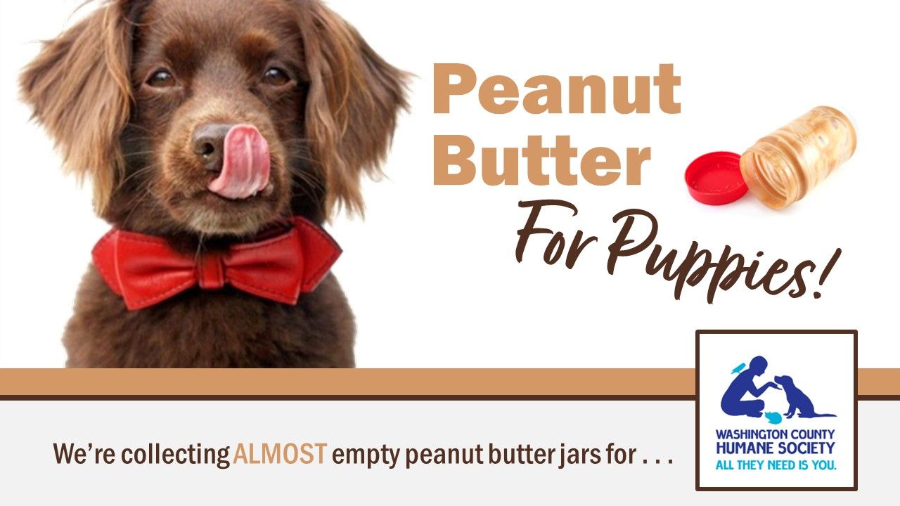Peanut Butter for Humane Society Donations