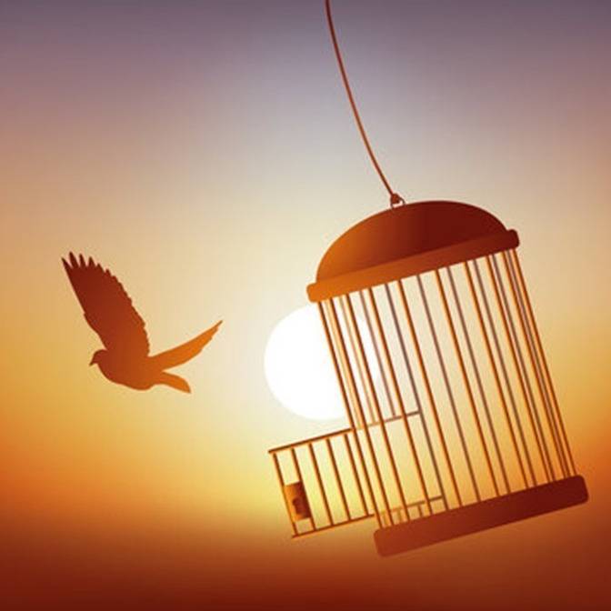 Release the Captive