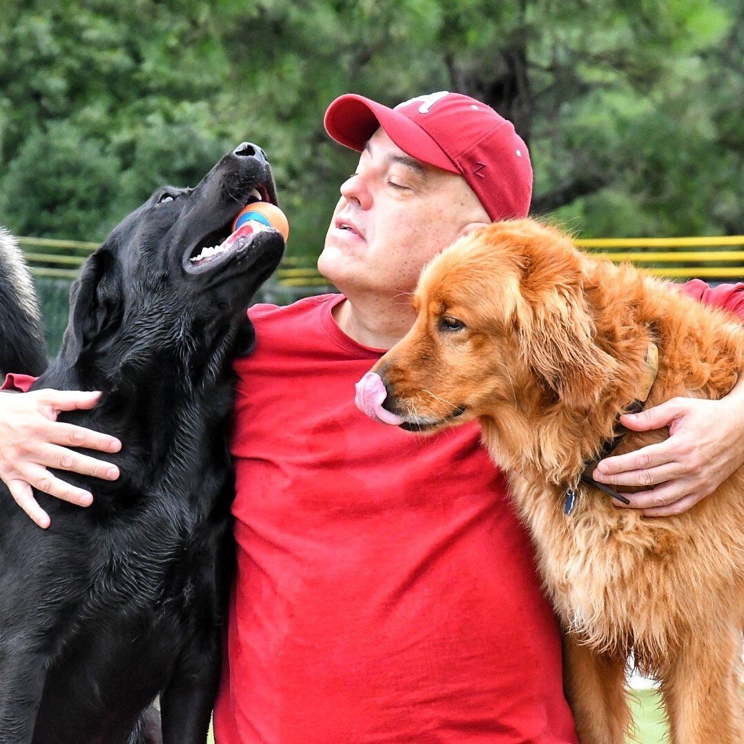 About Us Dog Party USA Dog Boarding Springdale, AR