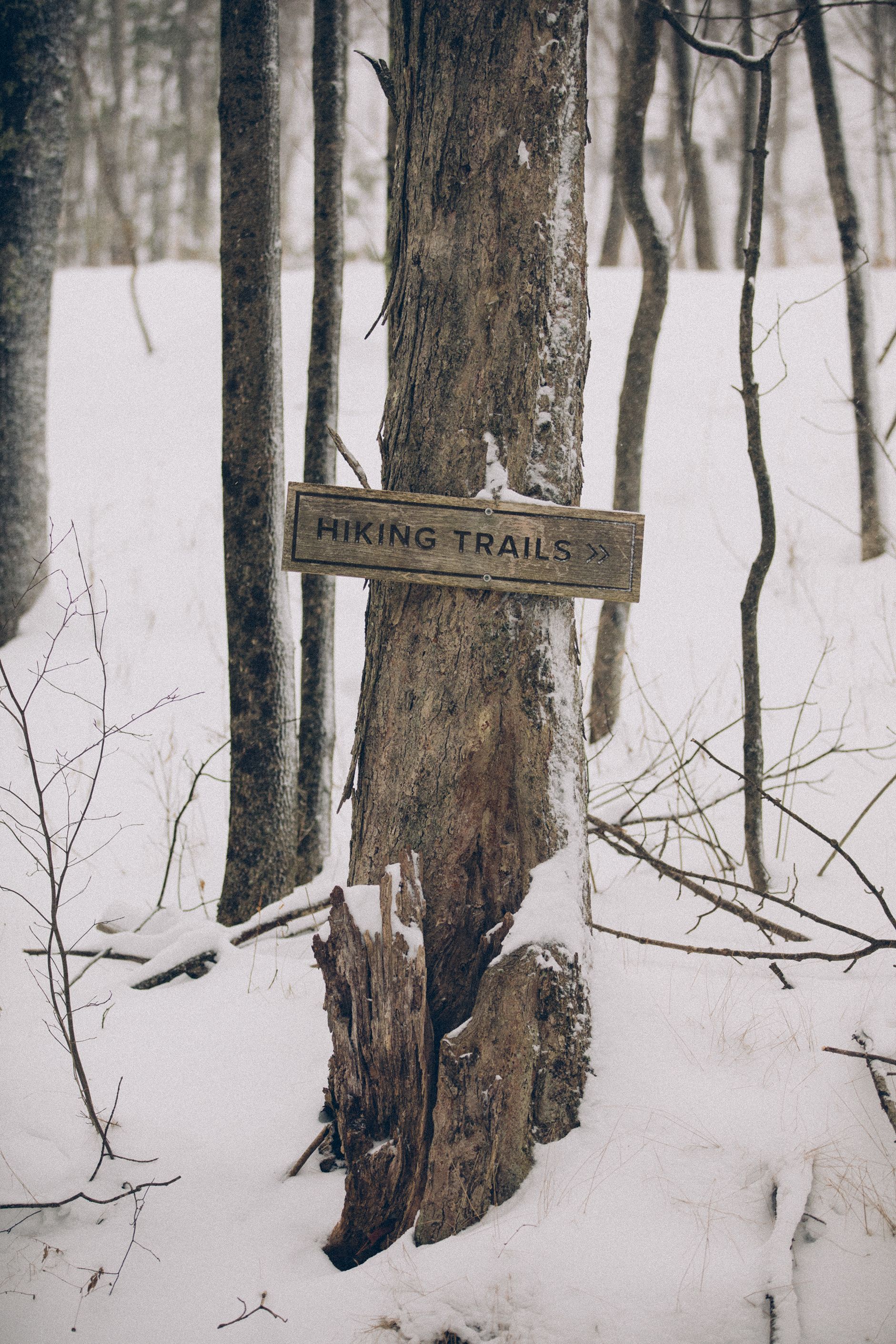 A hiking trail sign is attached to a tree in the snow.