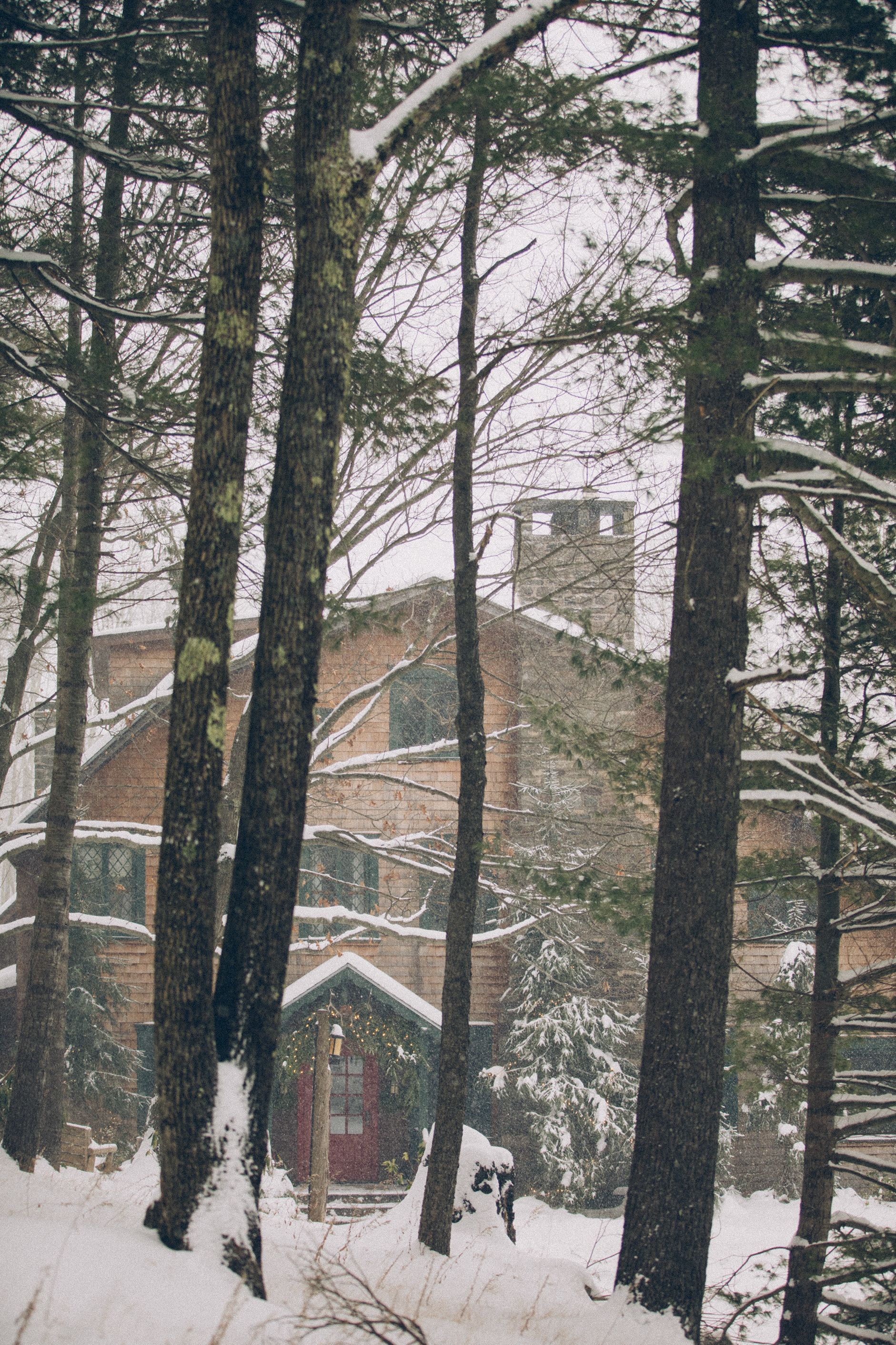 A snowy forest with a house in the background