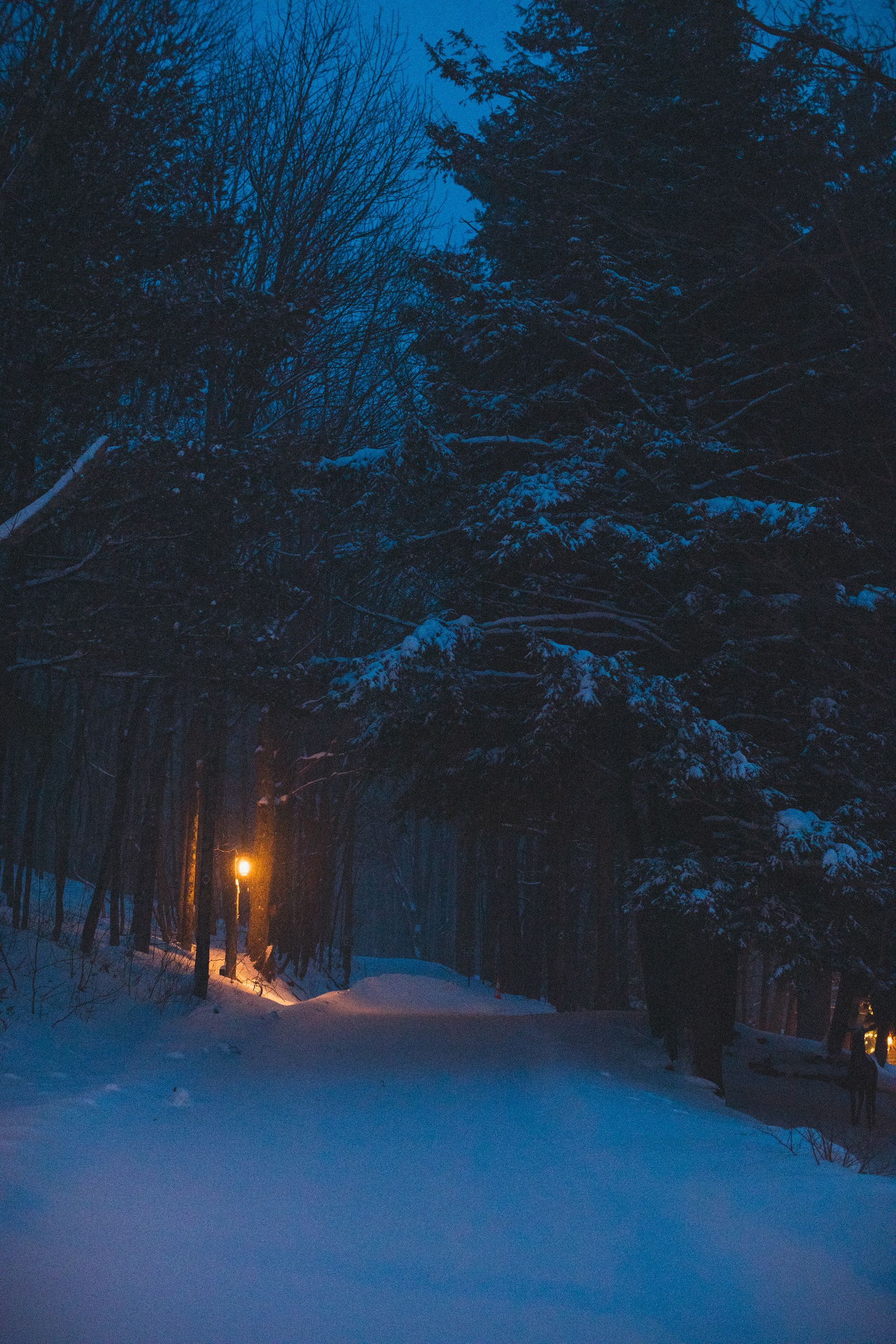 A snowy path in the woods at night with a light on the side of it.