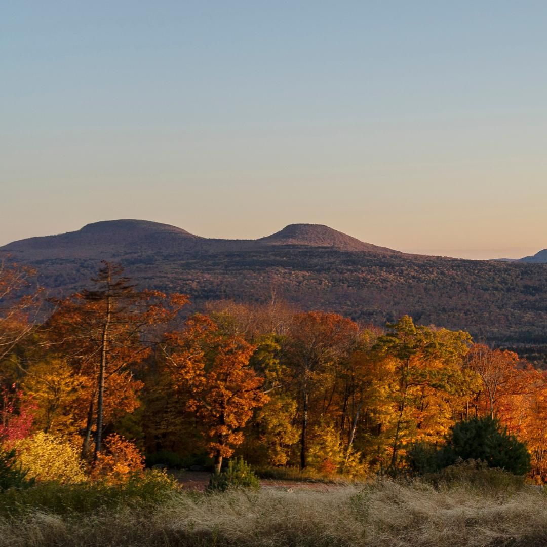 There are mountains in the background and trees in the foreground.