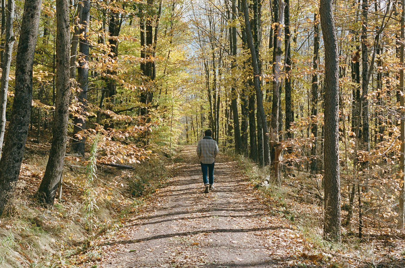 A person is walking down a path in the woods.
