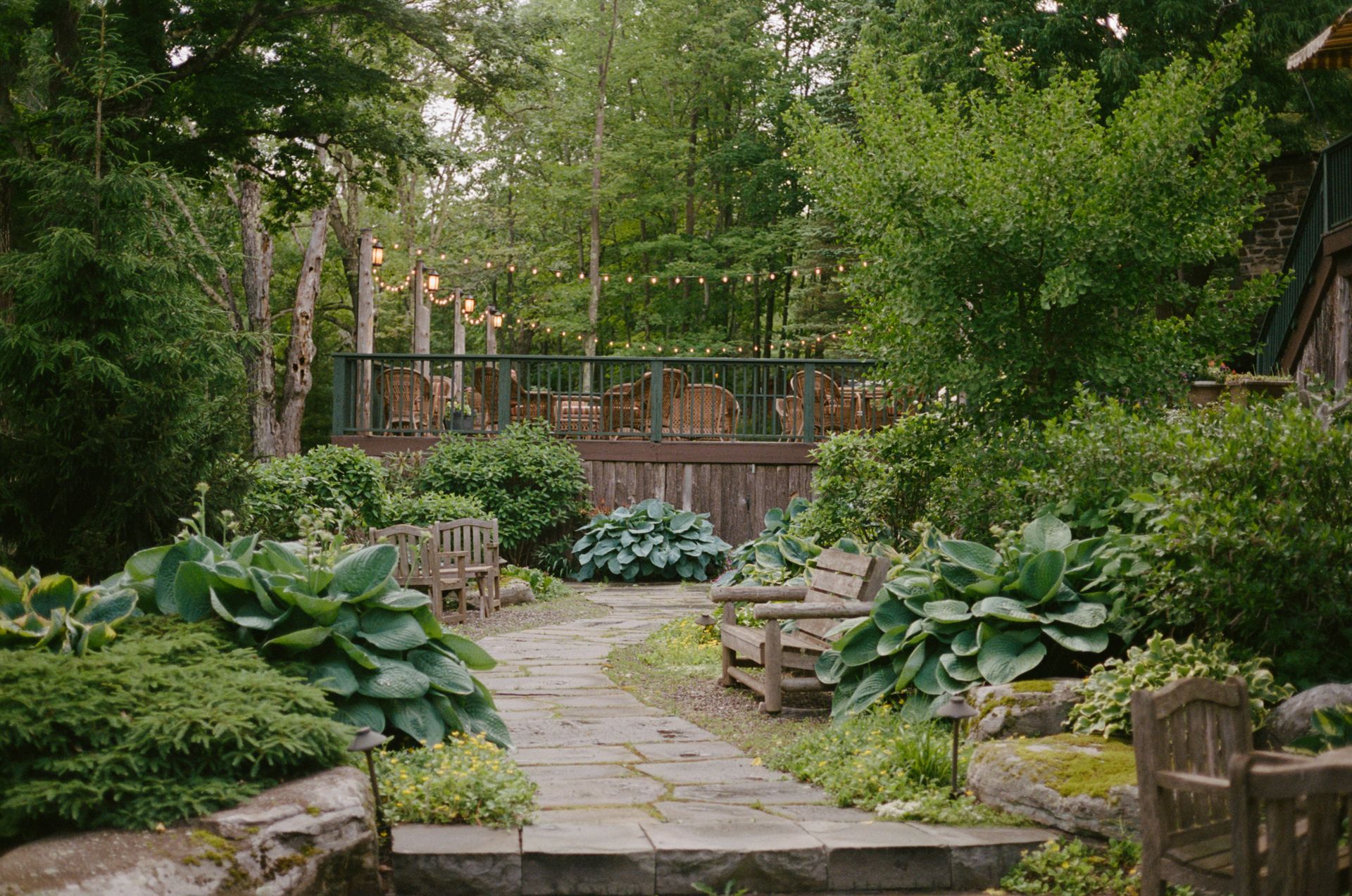 A stone walkway leading to a wooden deck in a garden surrounded by trees and plants.