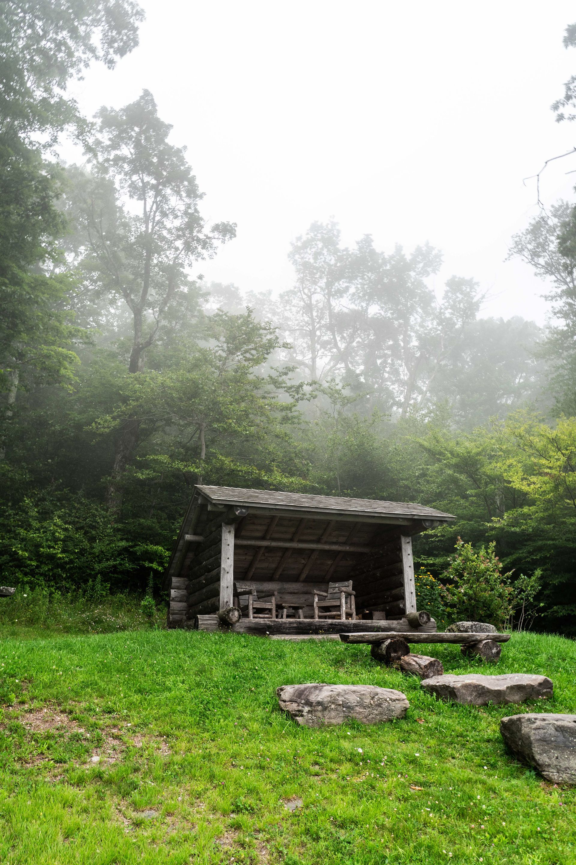 A shelter in the middle of a grassy field in the woods on a foggy day.