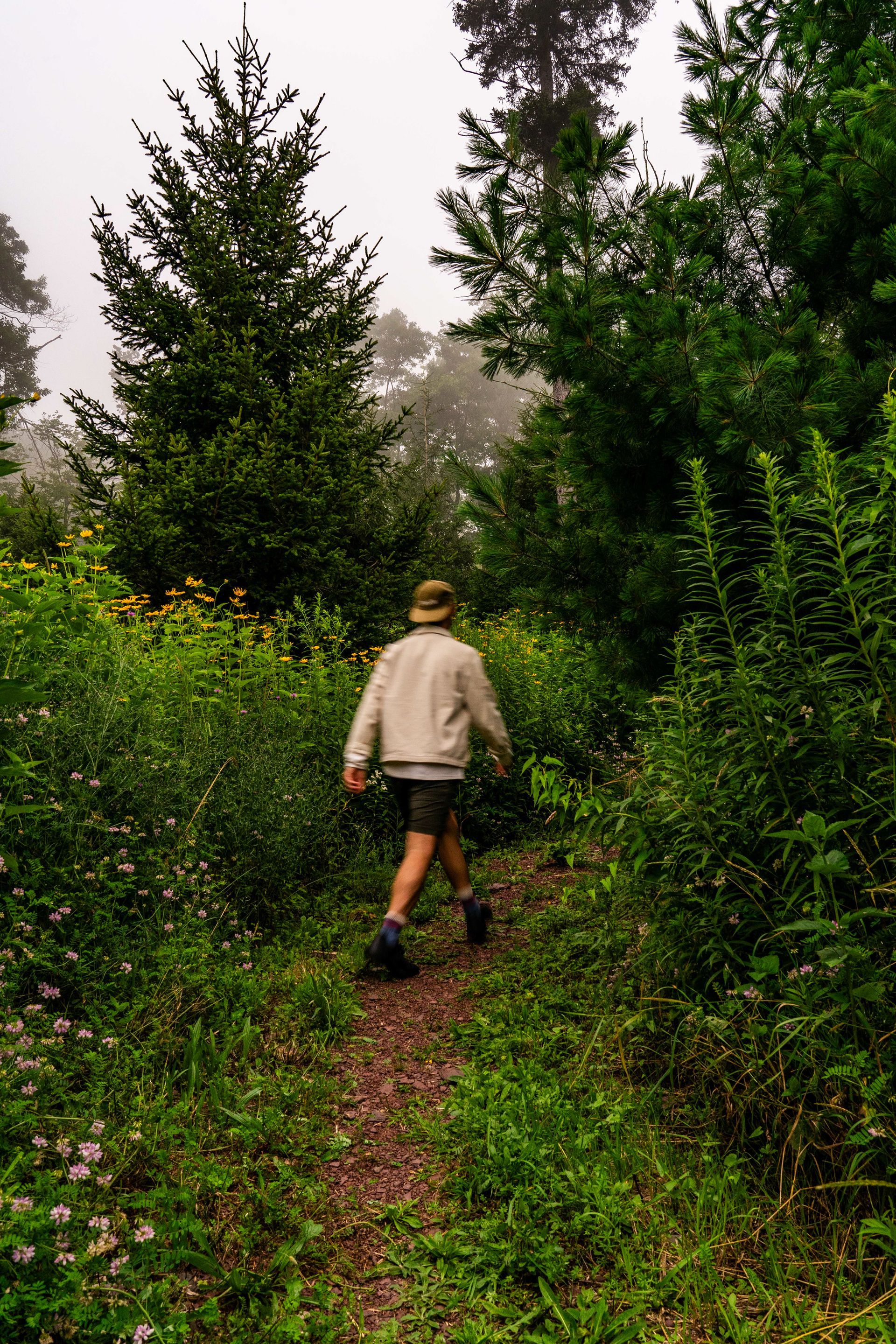 A man is walking down a path in the woods.
