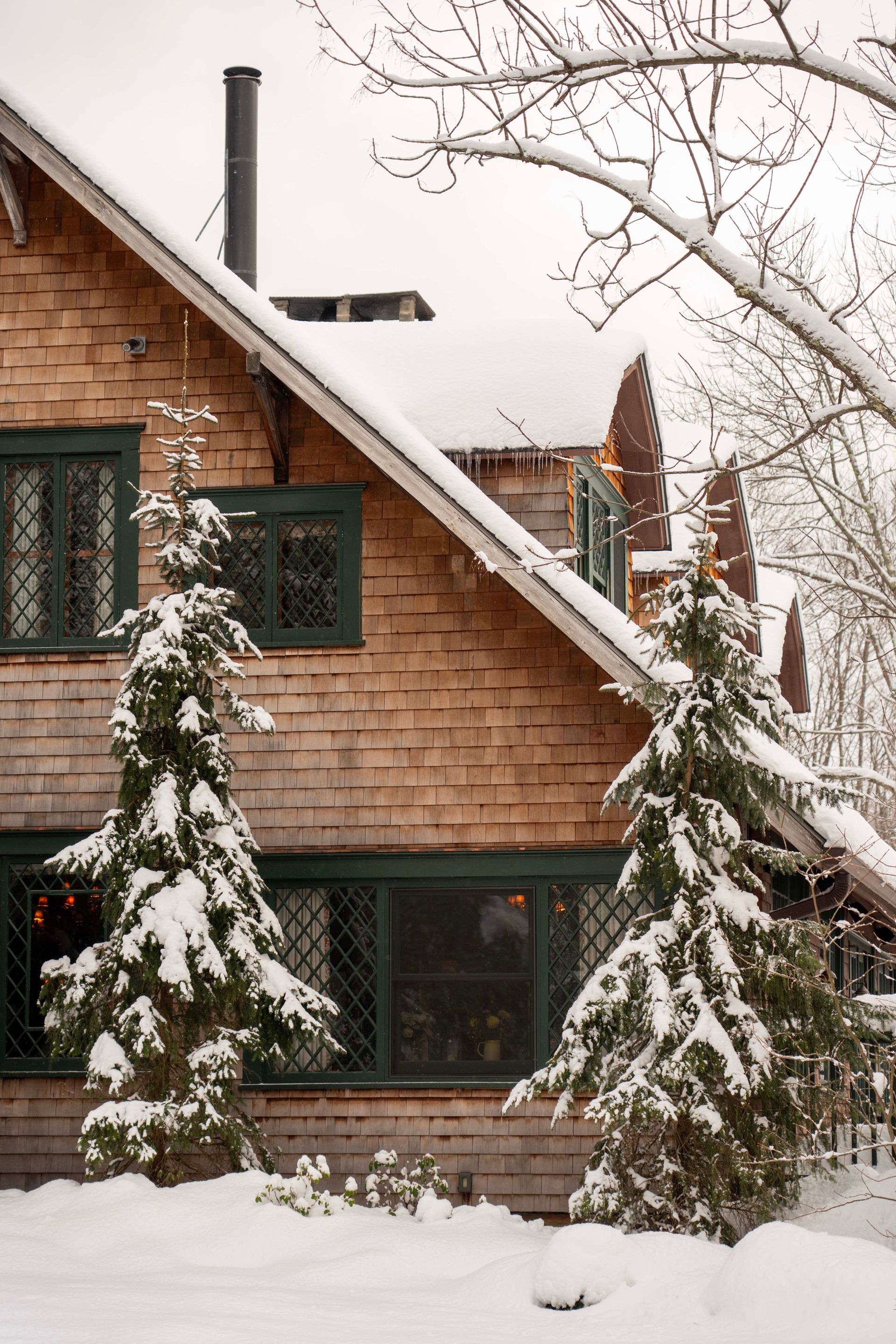 A house with snow on the roof and trees in front of it