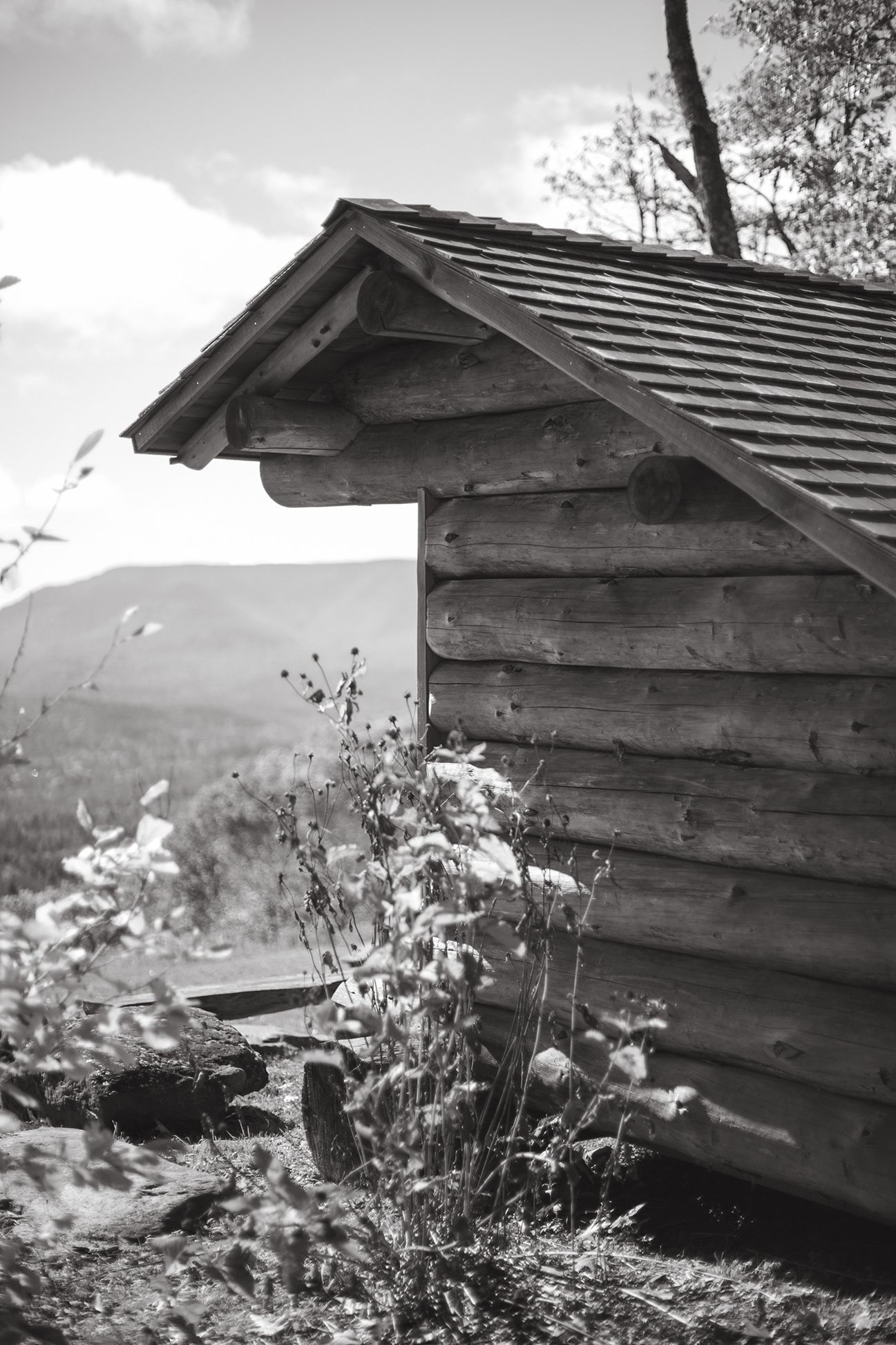 A black and white photo of a log cabin in the woods.