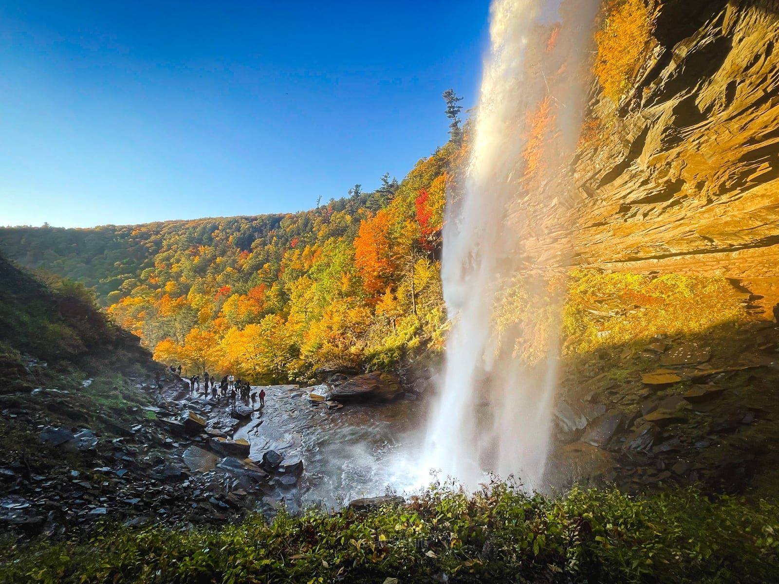 A waterfall in the middle of a forest with trees in the background.