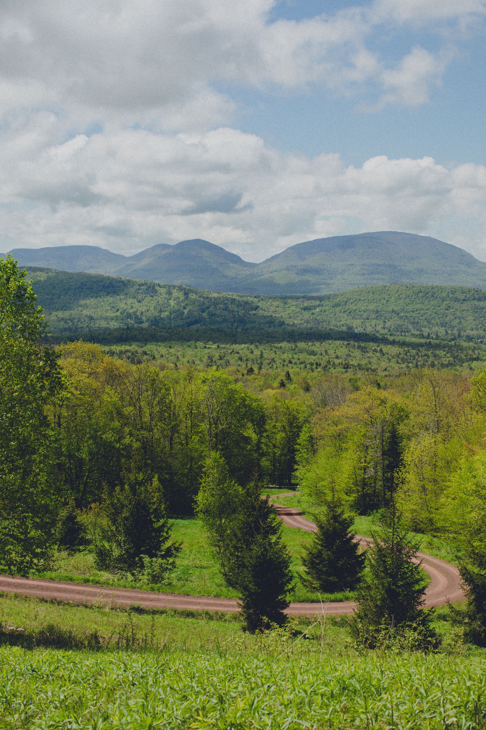 A dirt road winds through a grassy field with mountains in the background.