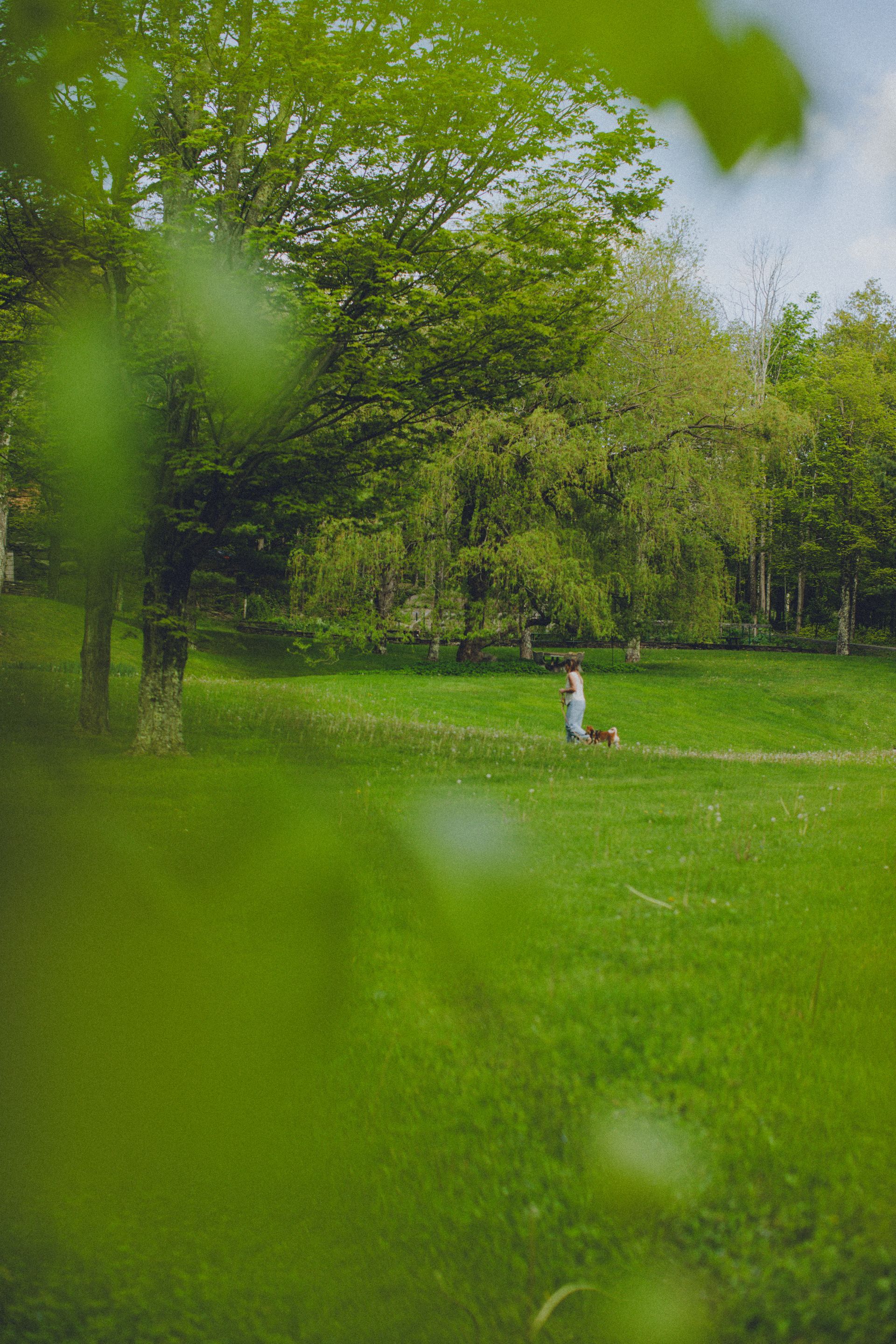 A person is walking a dog in a park.