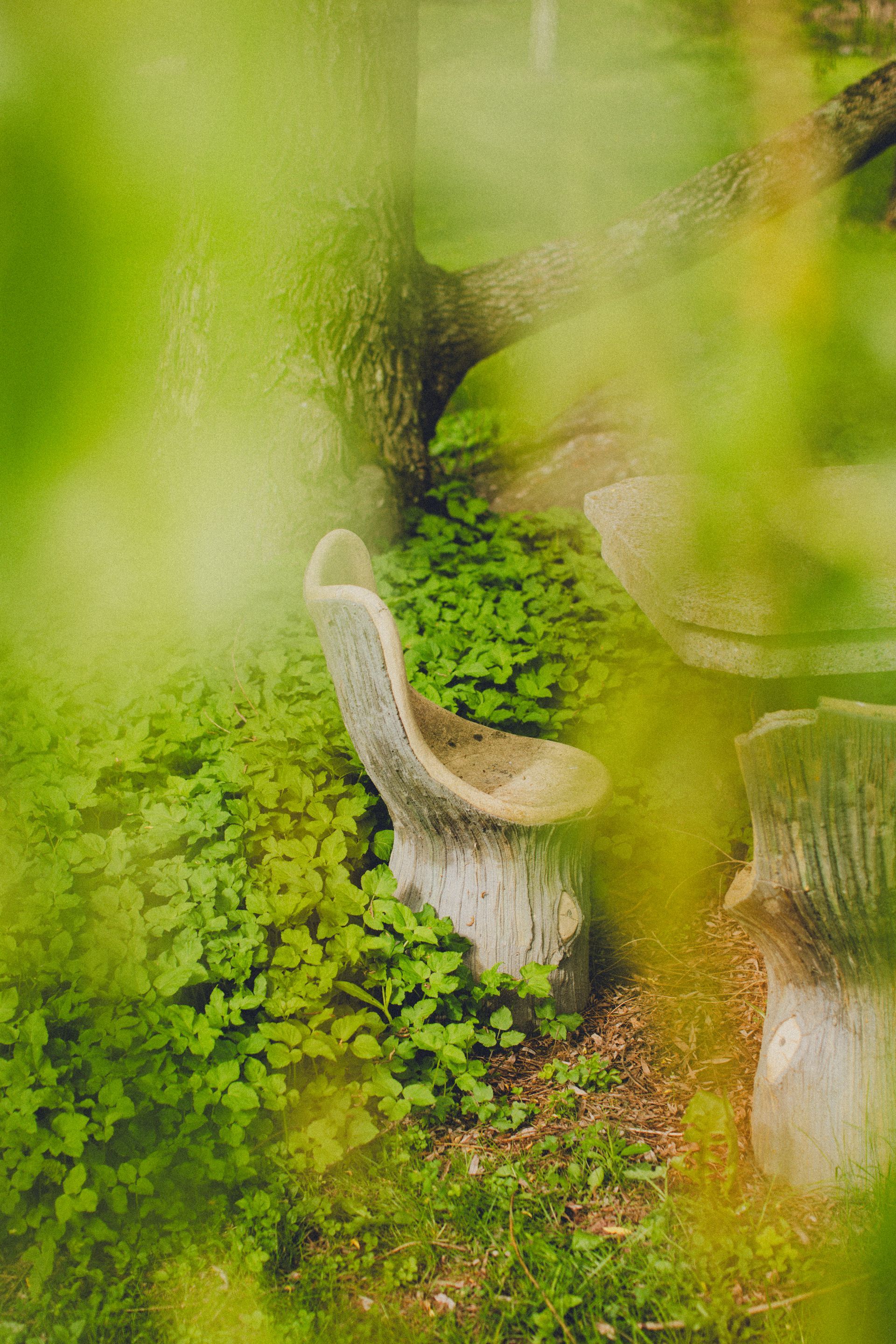 A chair is sitting in the middle of a garden surrounded by green plants.