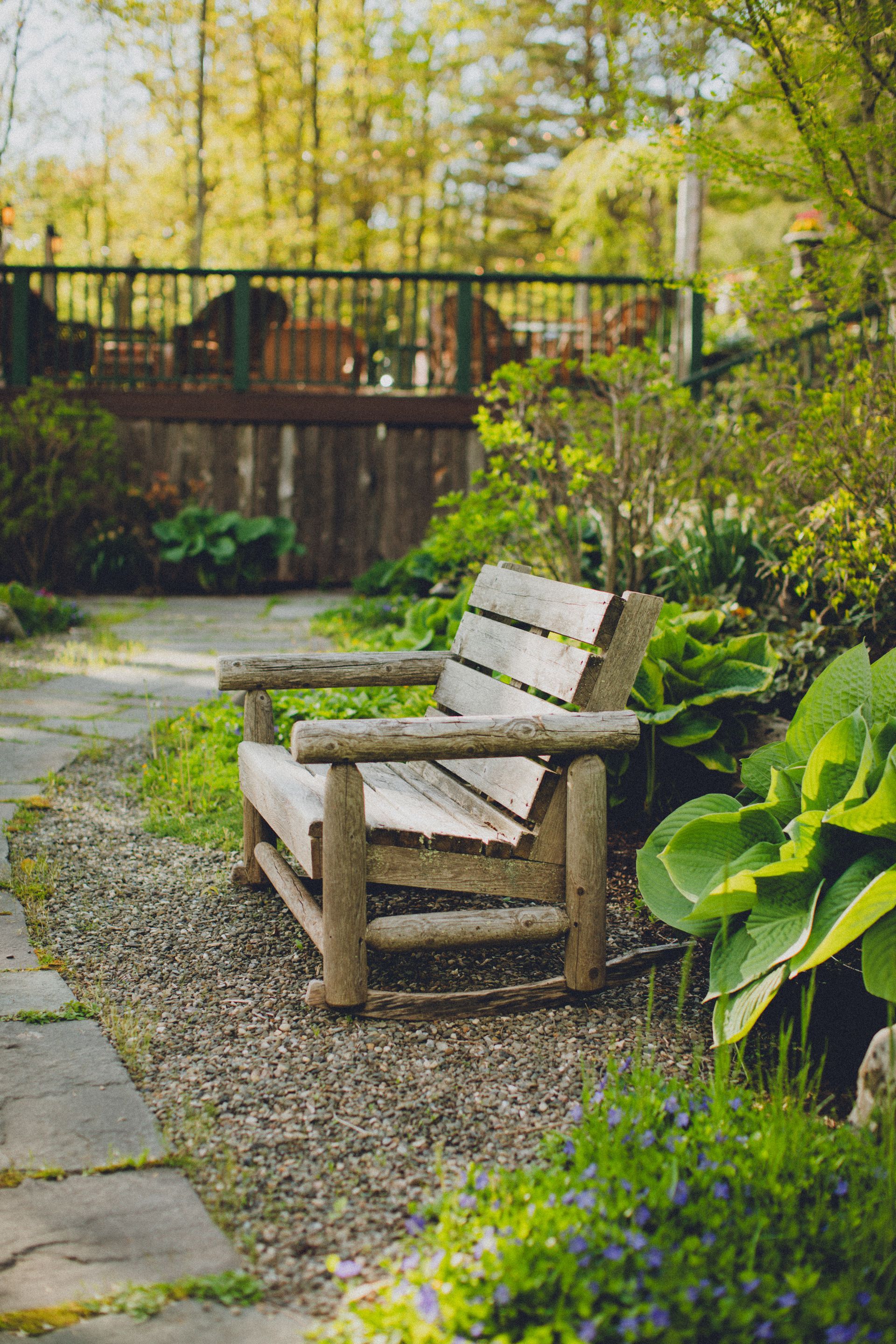 A wooden bench is sitting in the middle of a garden.