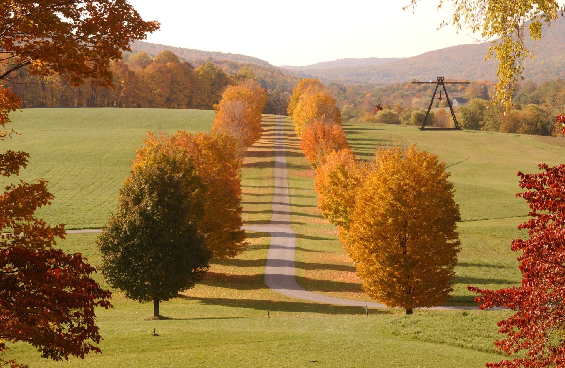 A row of trees in a field with mountains in the background