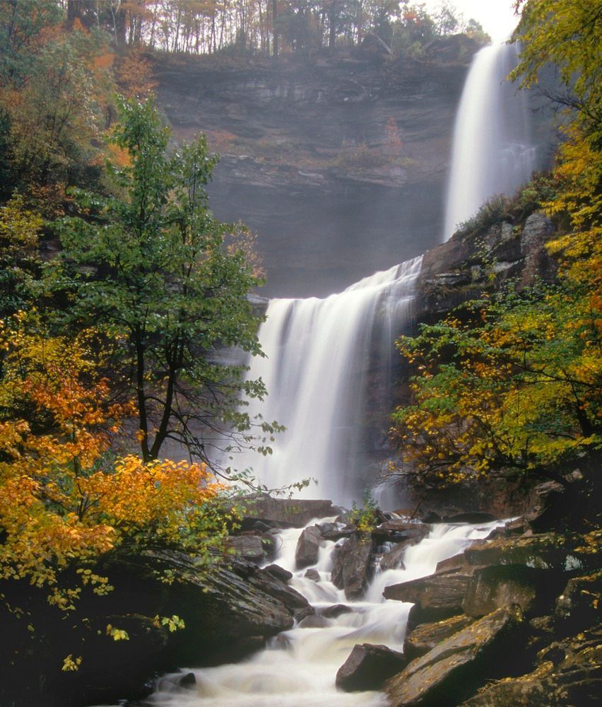 A waterfall is surrounded by trees and rocks