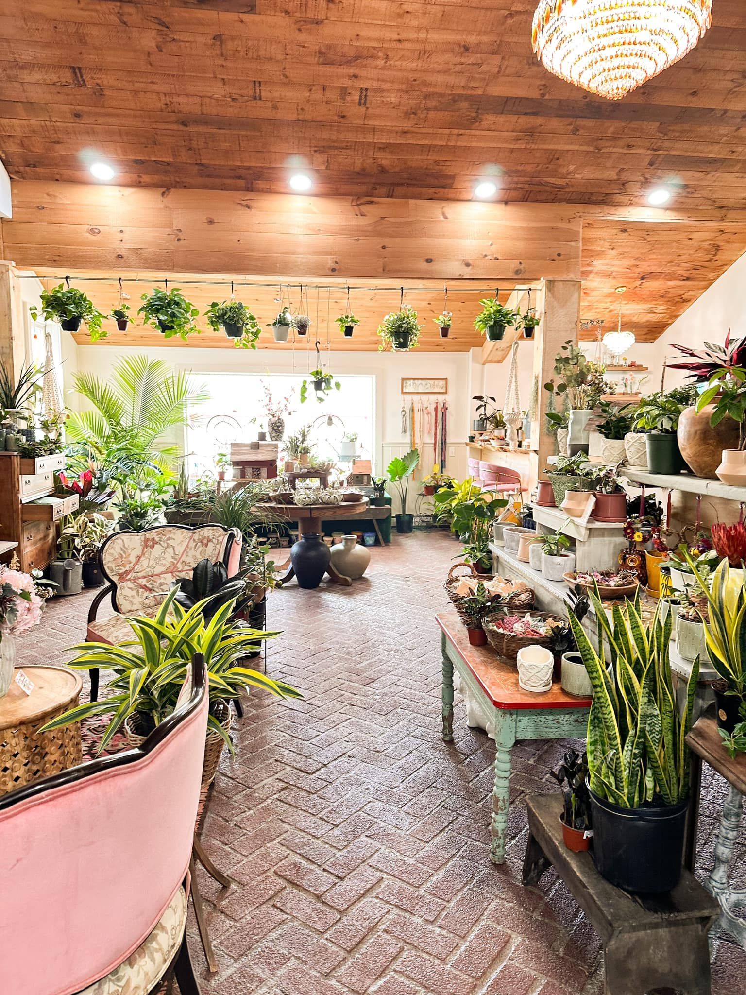 A large room filled with lots of potted plants and flowers.