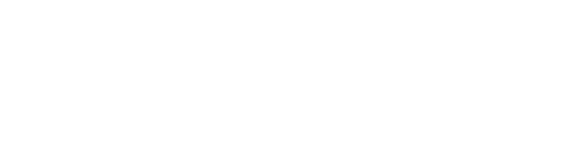 Nal logo
