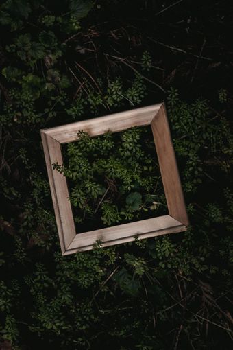 Tilted wooden square frame lying on dark green foliage and branches